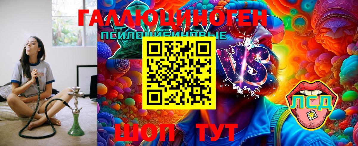 Псилоцибиновые грибы GOLDEN TEACHER  Галлюциногенные грибы Cubensis  где купить наркотик  Гурьевск  Вход с VPN 
