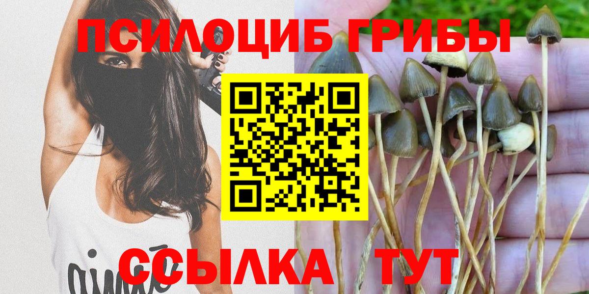 Псилоцибиновые грибы прущие грибы Гурьевск
