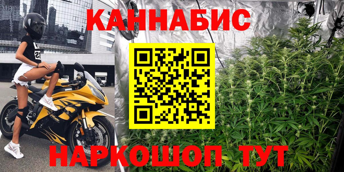 Канабис MAZAR  МАРИХУАНА конопля  Гурьевск  Вход с VPN  МАРИХУАНА тримм 